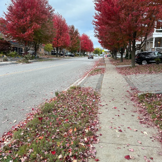 Fall(1)