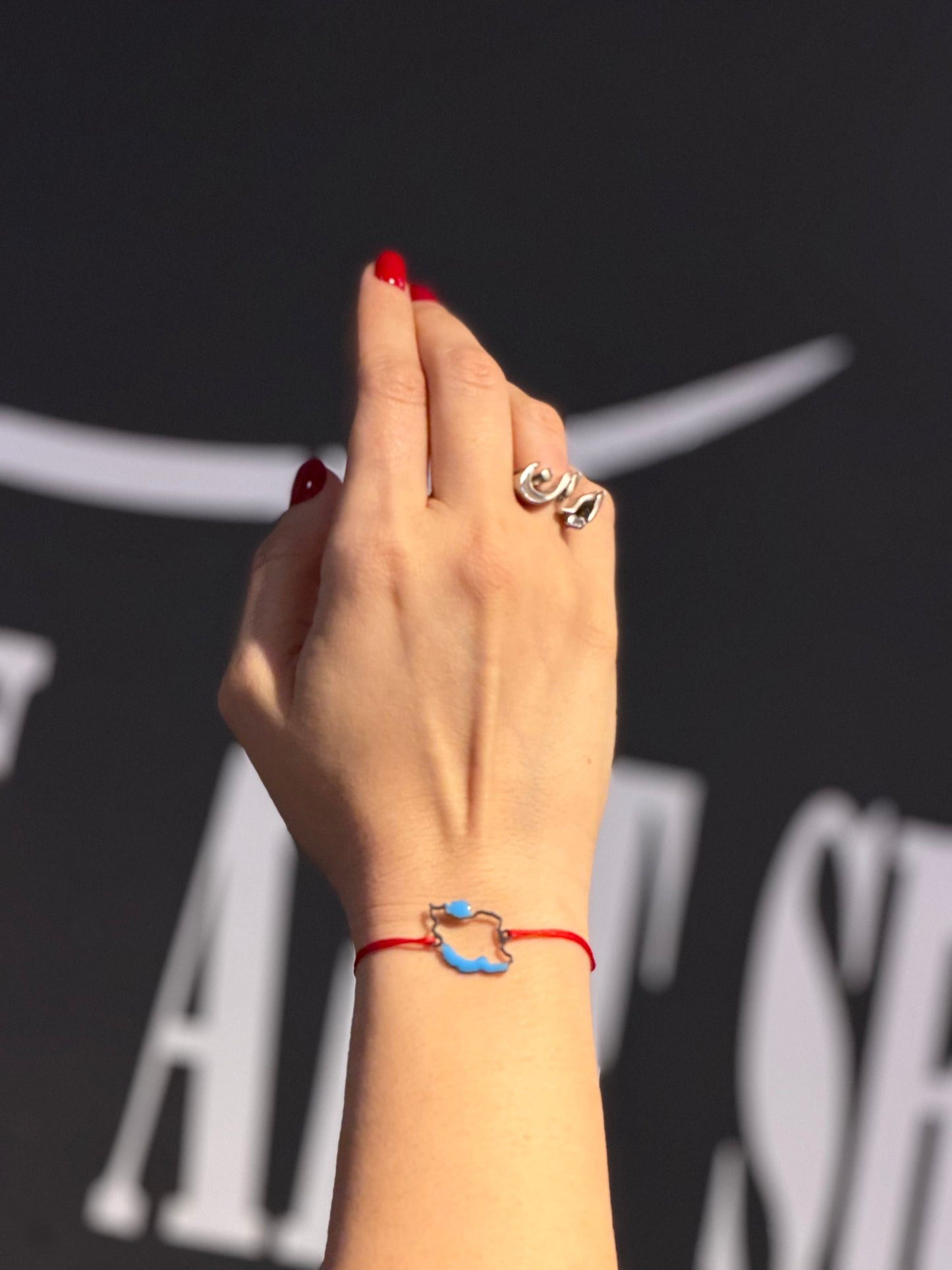 Iran Map Steel Bracelet